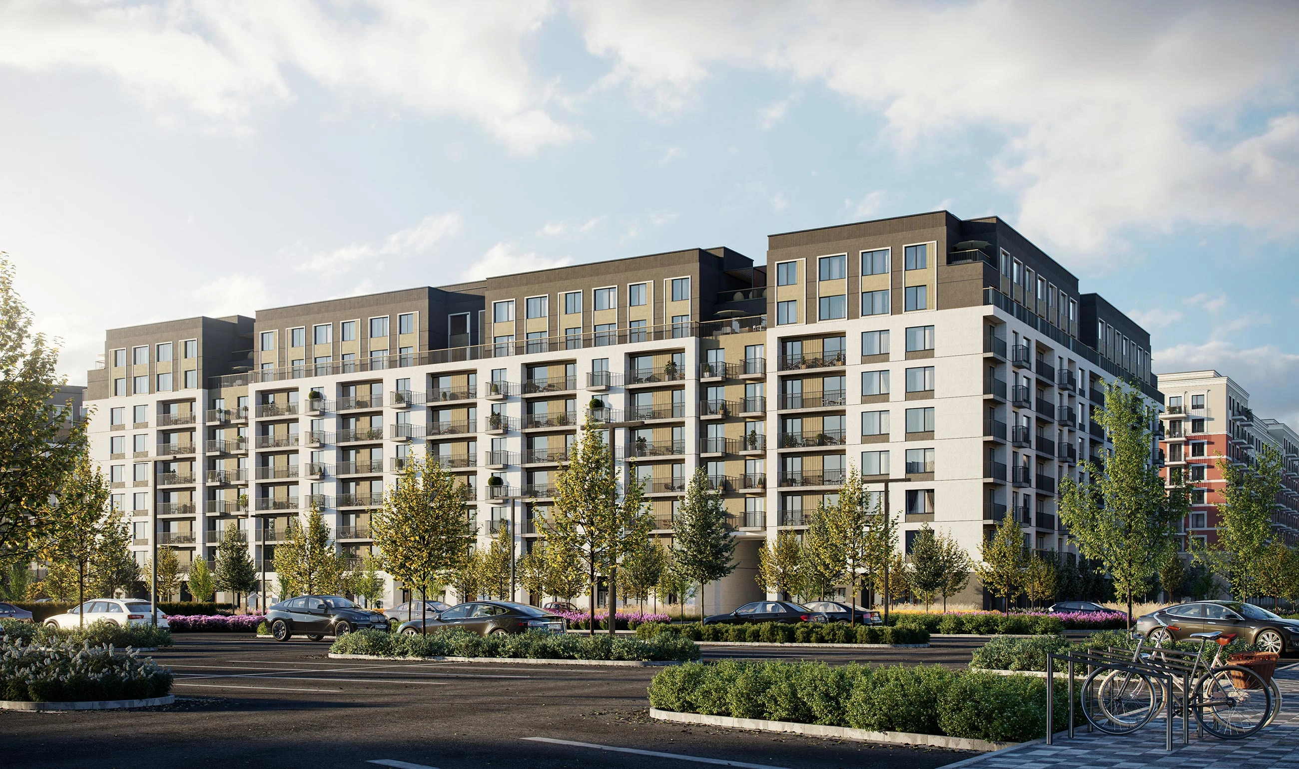 Брусника в Академическом